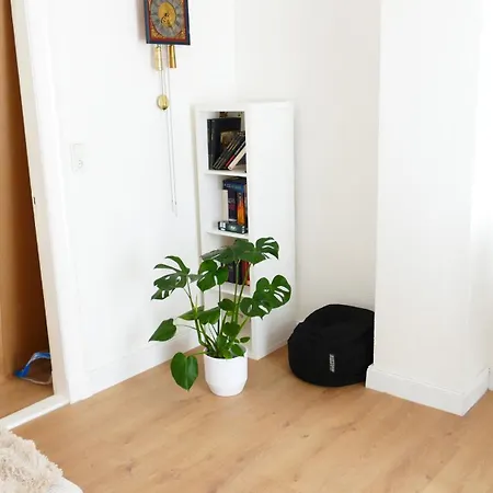 Kapitaenshaus Schaefer Apartment